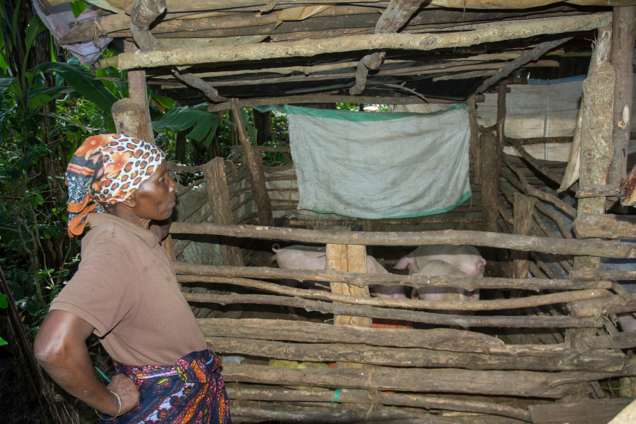 Community Development